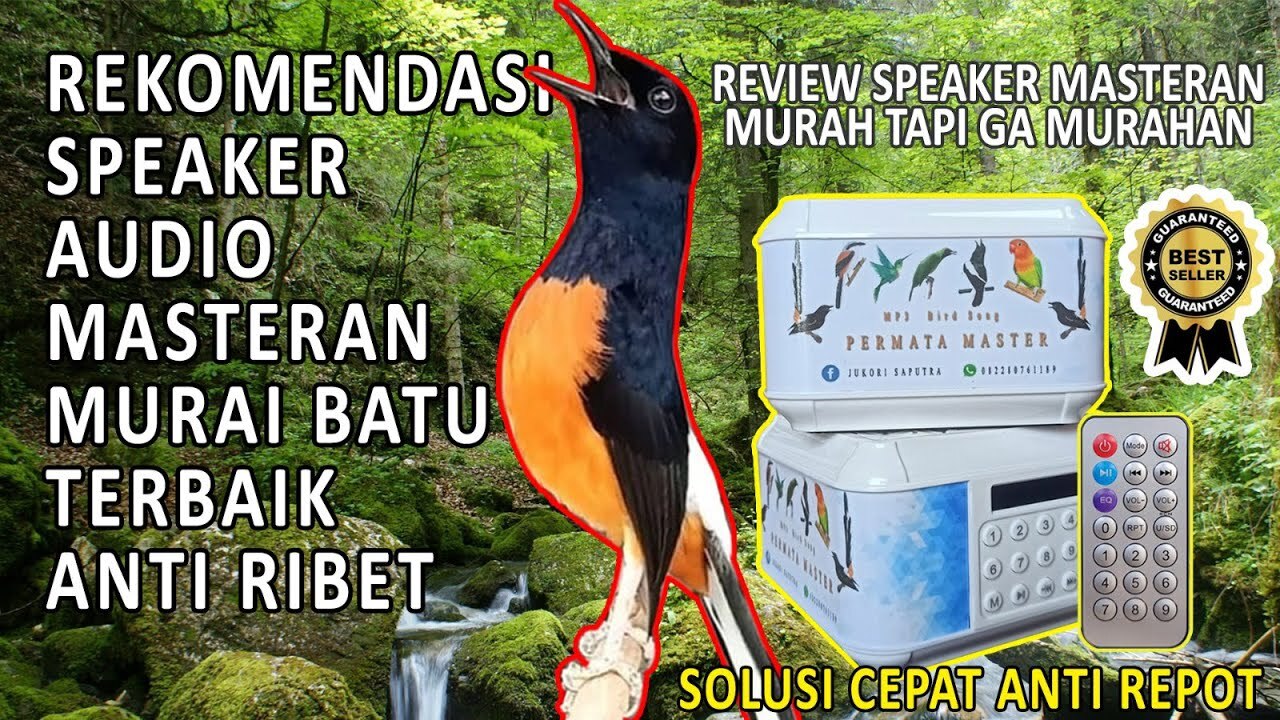 REKOMENDASI MASTERAN MURAI BATU TERBAIK || REVIEW SPEAKER MP3 MASTERAN ... REKOMENDASI MASTERAN MURAI BATU TERBAIK || REVIEW SPEAKER MP3 MASTERAN ...