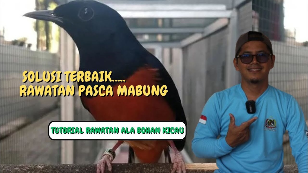 MURAI BATU PASCA MABUNG, BIKIN KEMBALI TOP PERFORMA, MENTAL BAJA ... MURAI BATU PASCA MABUNG, BIKIN KEMBALI TOP PERFORMA, MENTAL BAJA ...